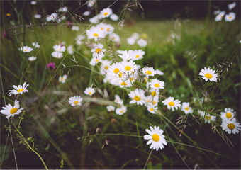 Safespring lanserer flere nye tjenester